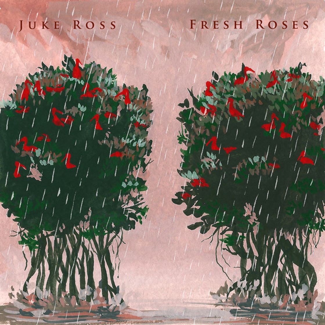 Canción Fresh Roses