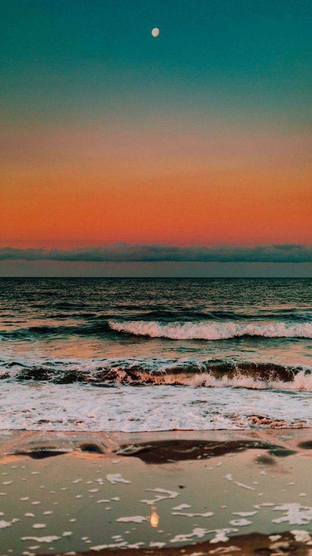 Social Wallpaper praia 🏝️