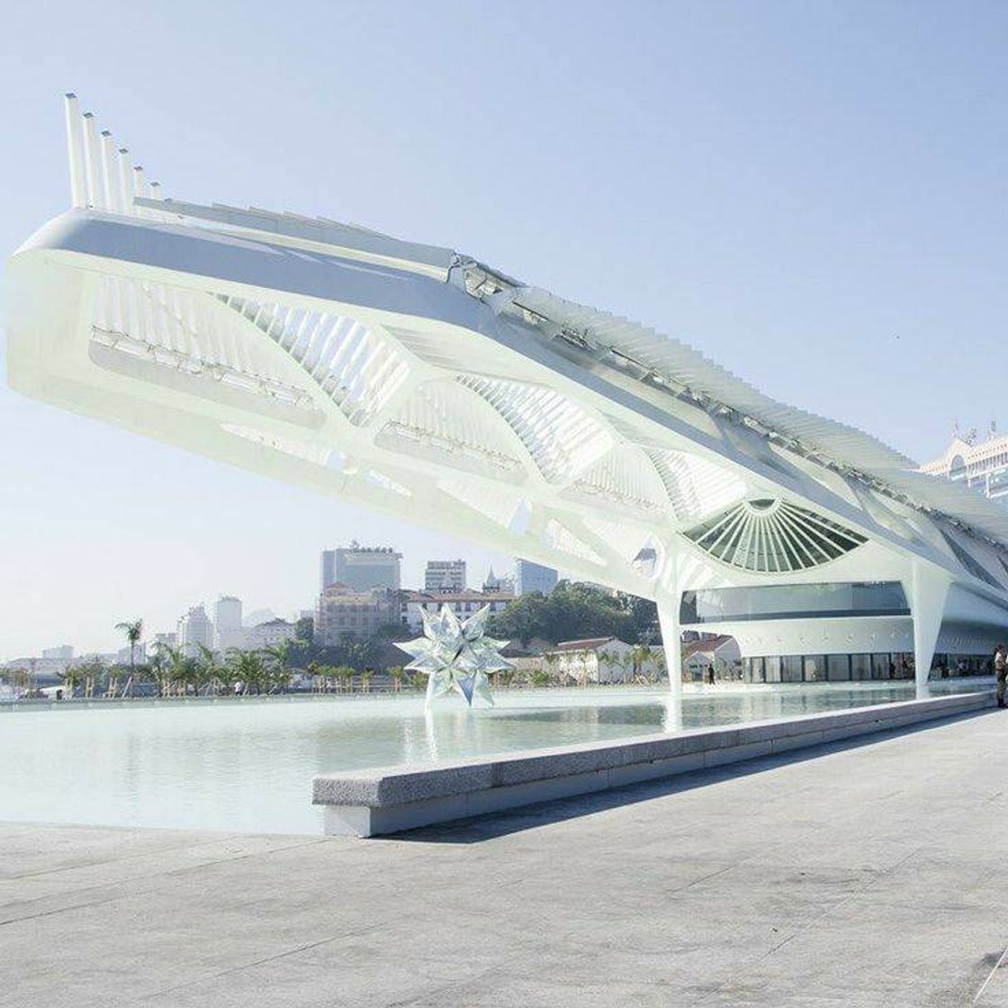Place Museo del Mañana