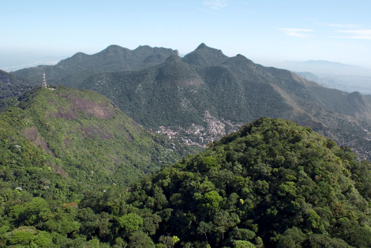 Lugar Tijuca National Park