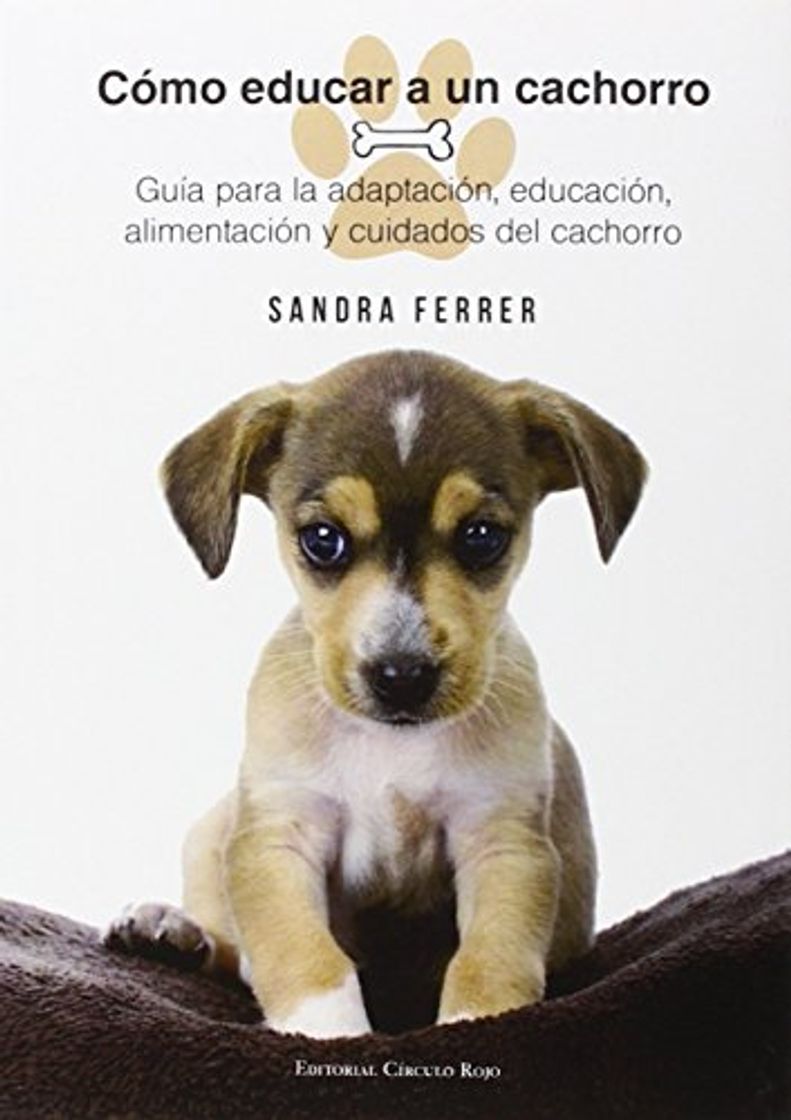 Social Cómo Educar a un Cachorro