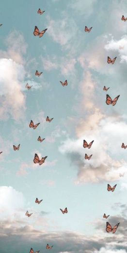 Wallpaper borboletas