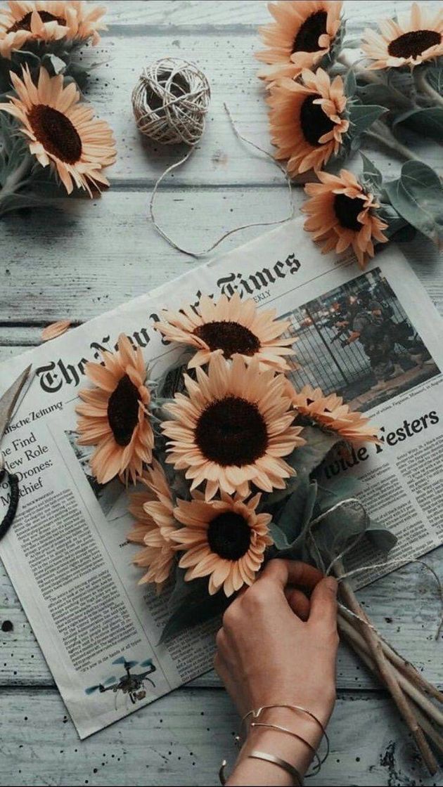 Moda Wallpaper Girassol 🌻