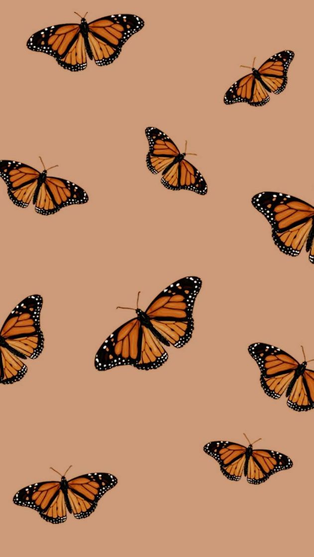 Moda Wallpaper Butterflies 