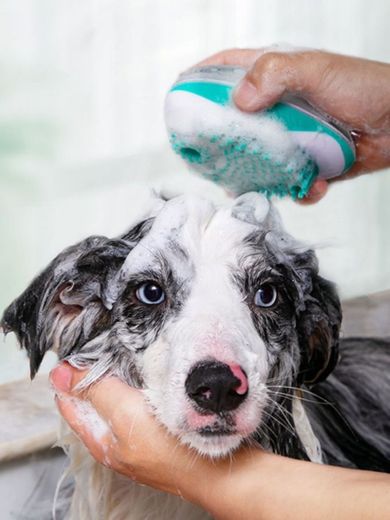 Cepillo de baño para animal