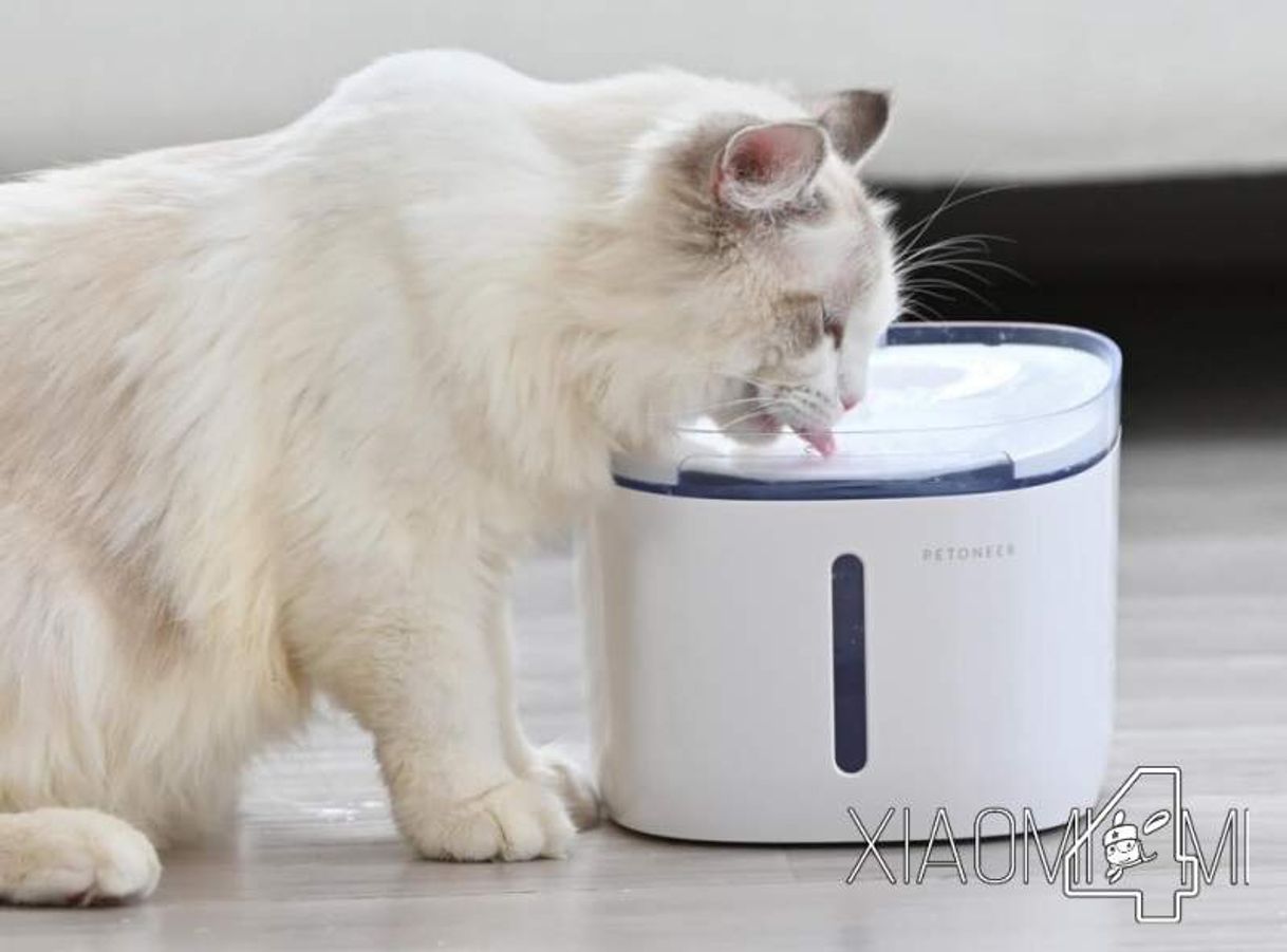 Social Xiaomi comedero bebedero gatos, top ventas - Xiaomi