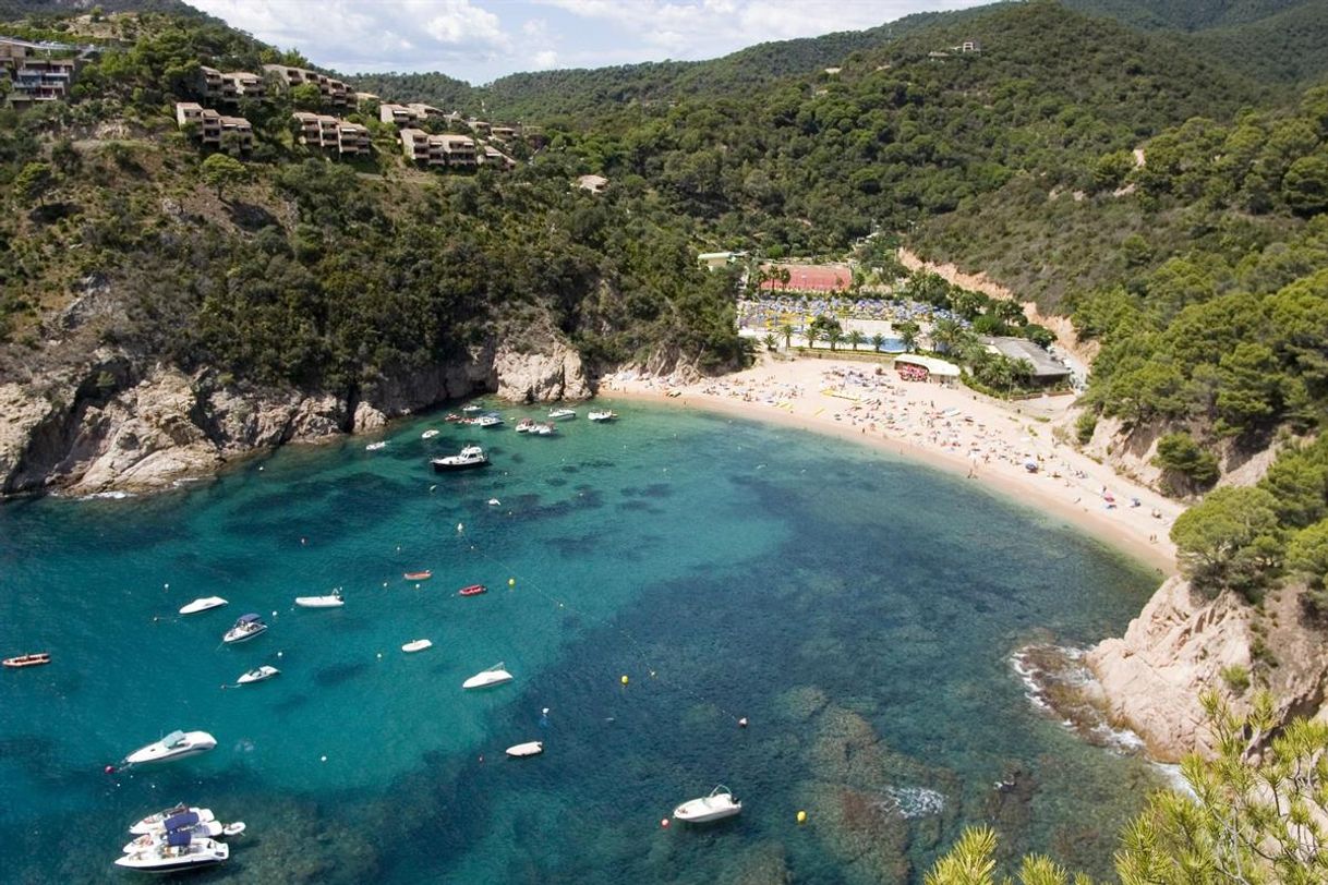 Restaurantes Cala Bona Tossa