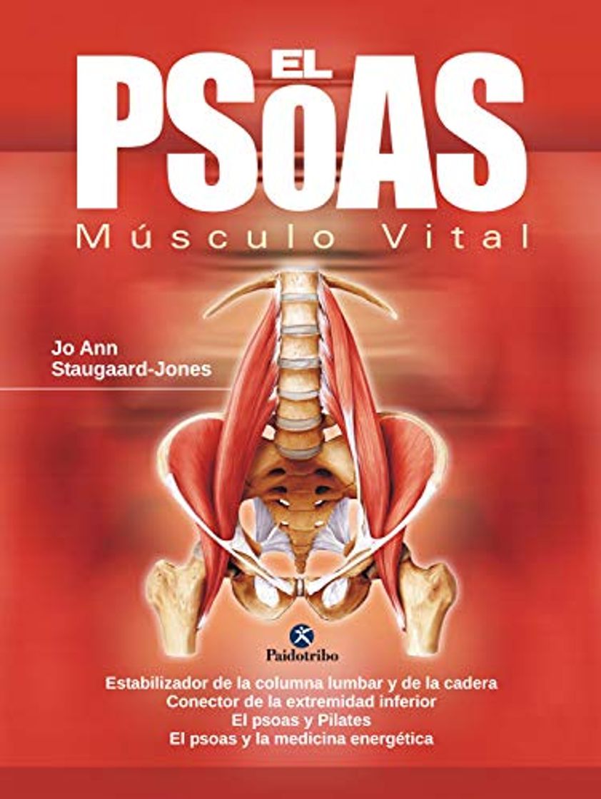 Book El psoas: Músculo vital