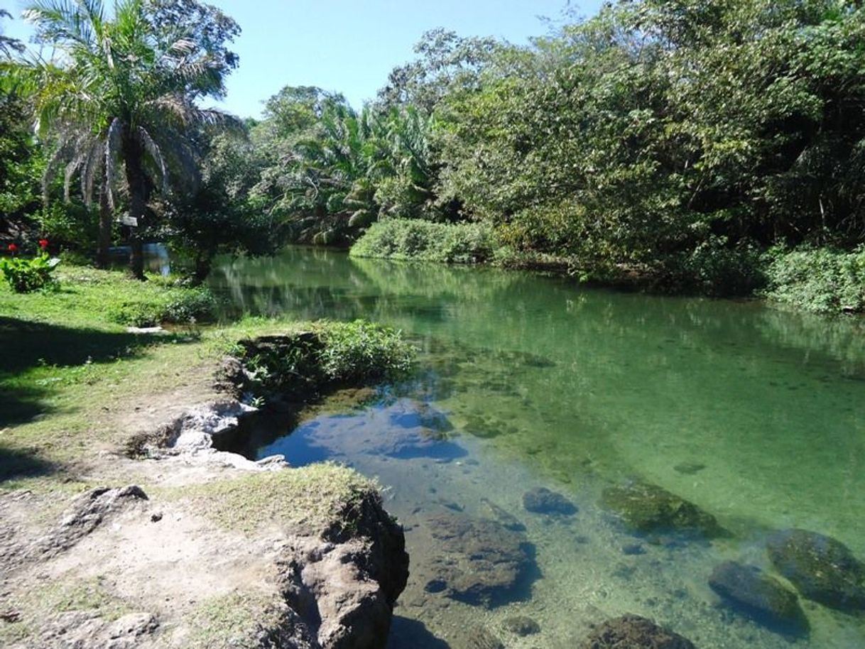 Place Aguas Calientes