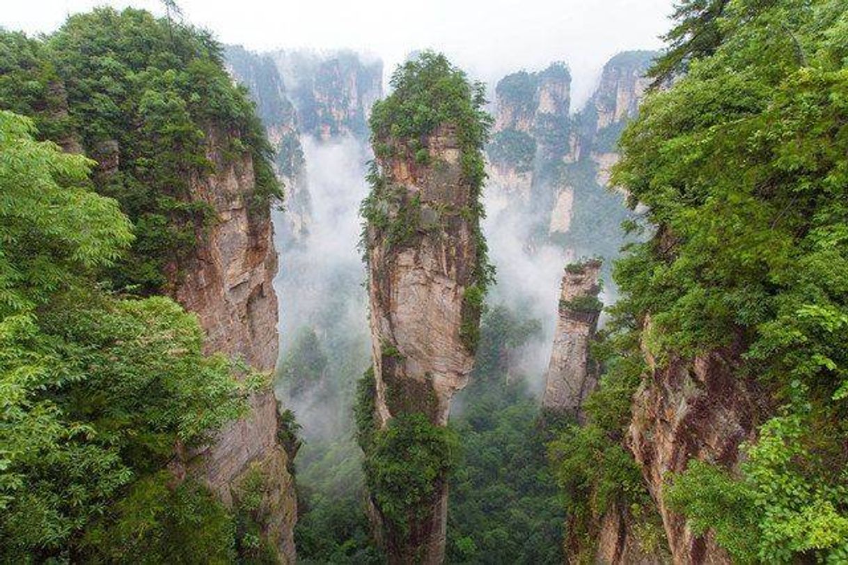 Lugar Zhangjiajie National Forest Park