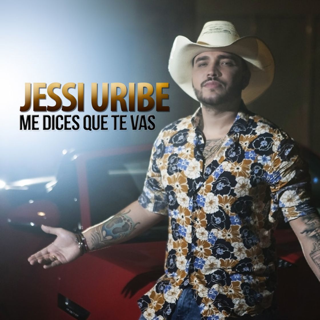 Canción Me Dices Que Te Vas