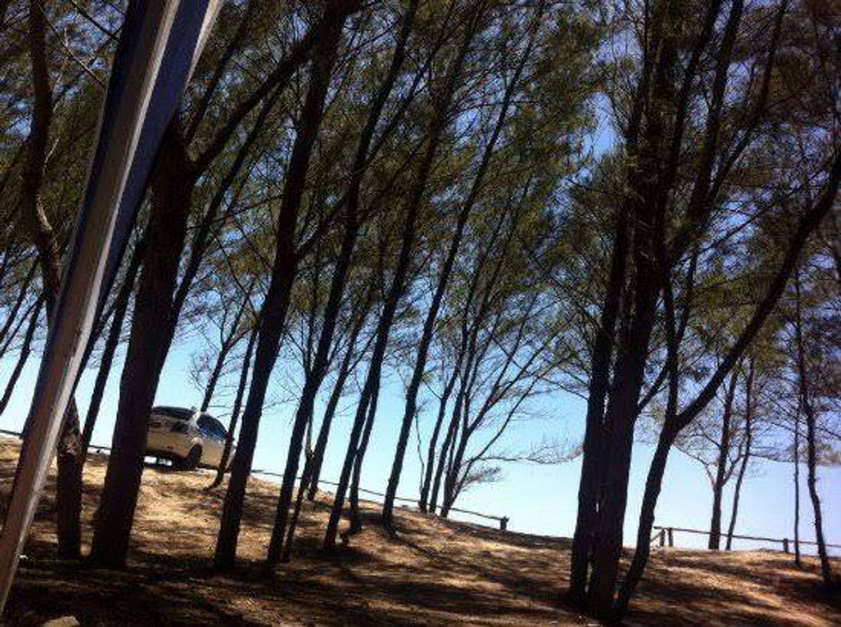 Place Bosque da Praia, Ilha De Guriri