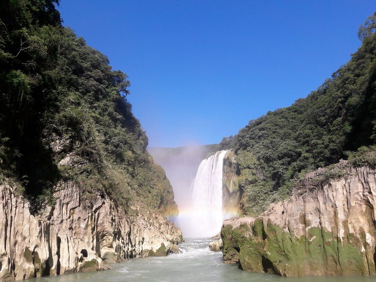 Lugar CASCADA DE TAMUL OFICIAL ✅