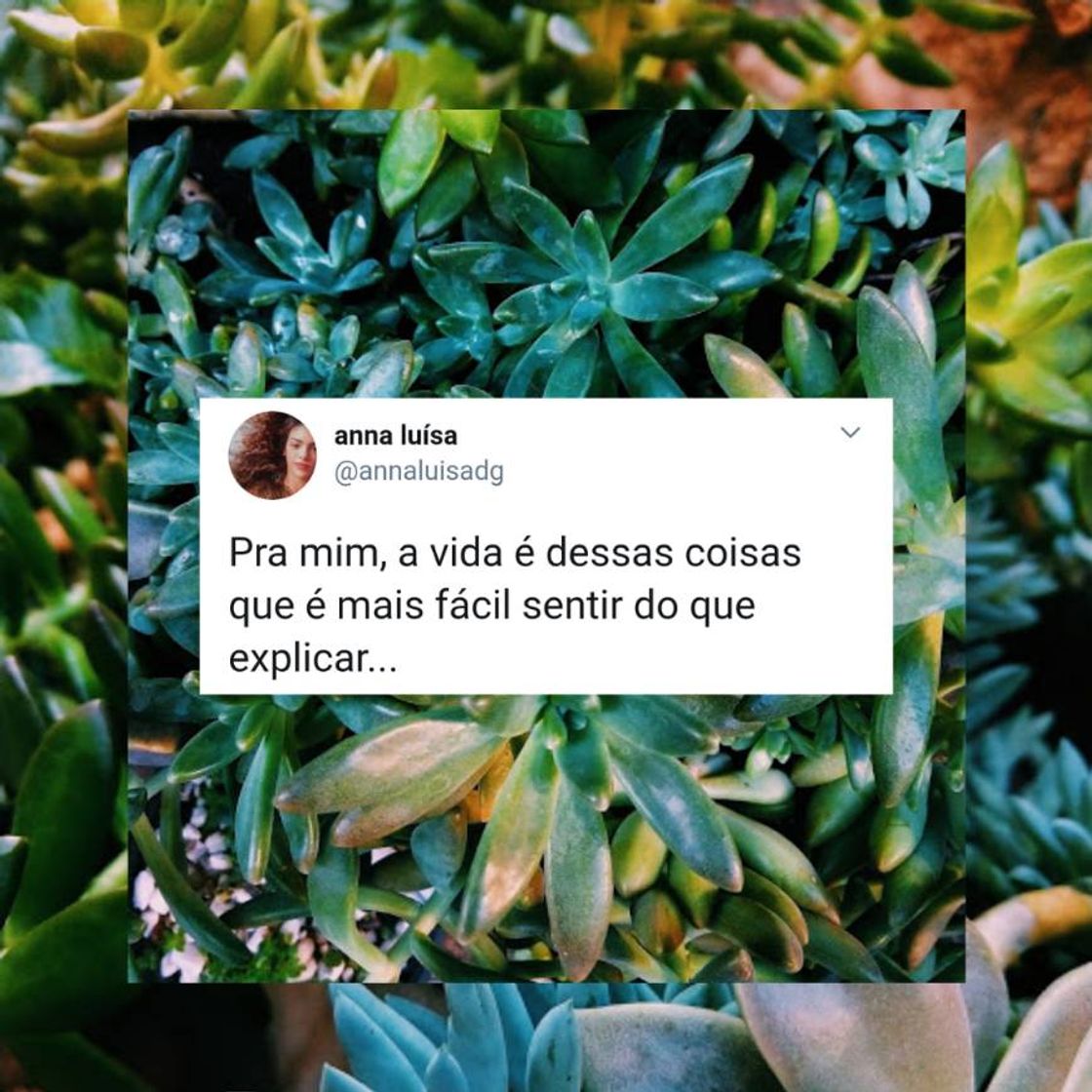 Moda A vida em poucas linhas