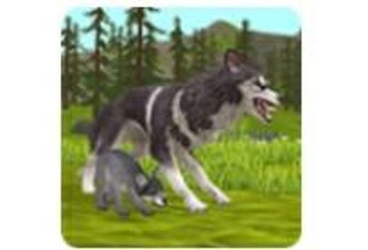 Wildcraft sim online