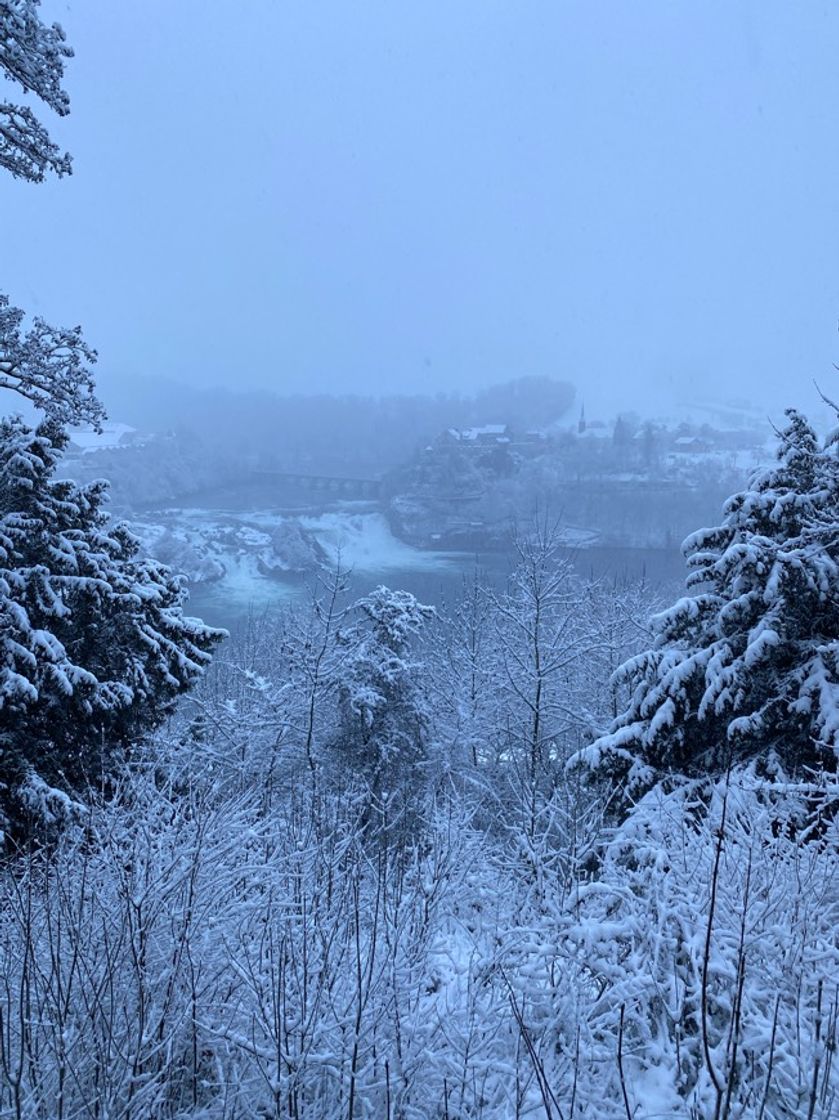 Lugar Neuhausen am Rheinfall