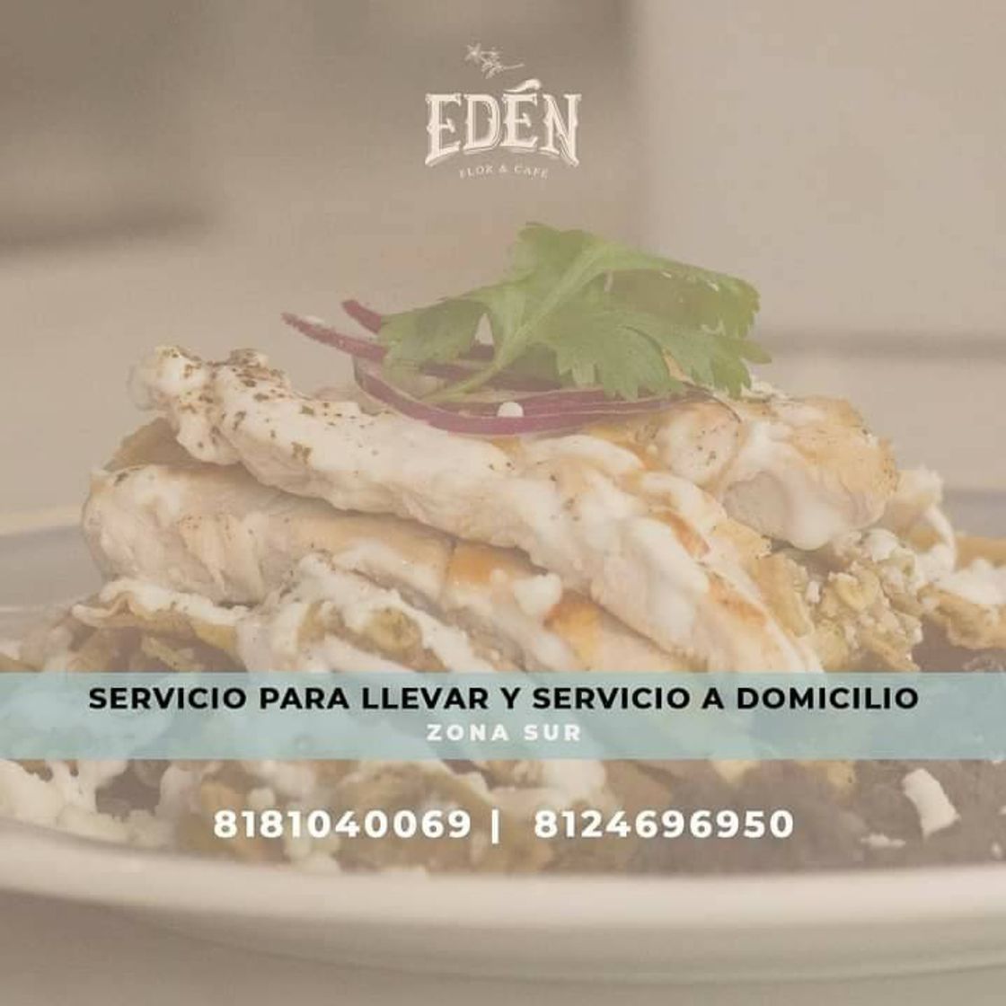 Restaurants Restaurante Eden flor y cafe