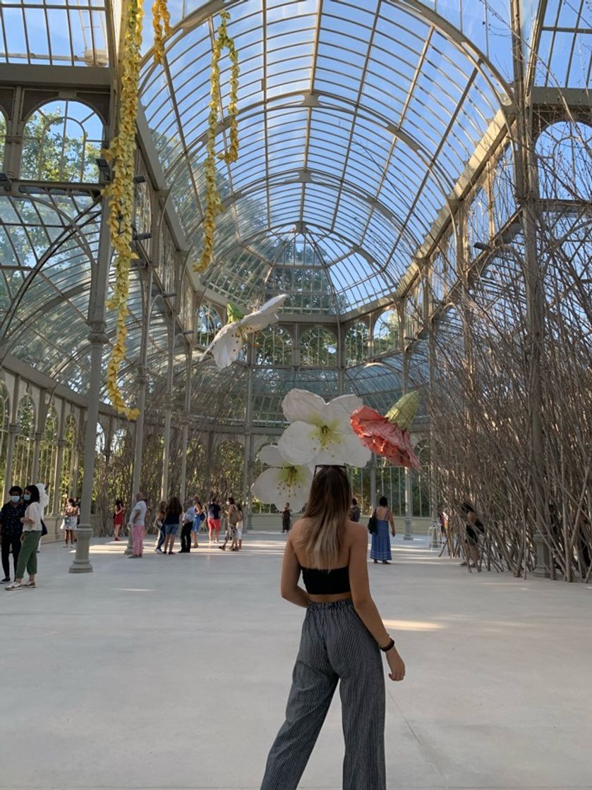 Place Palacio de Cristal