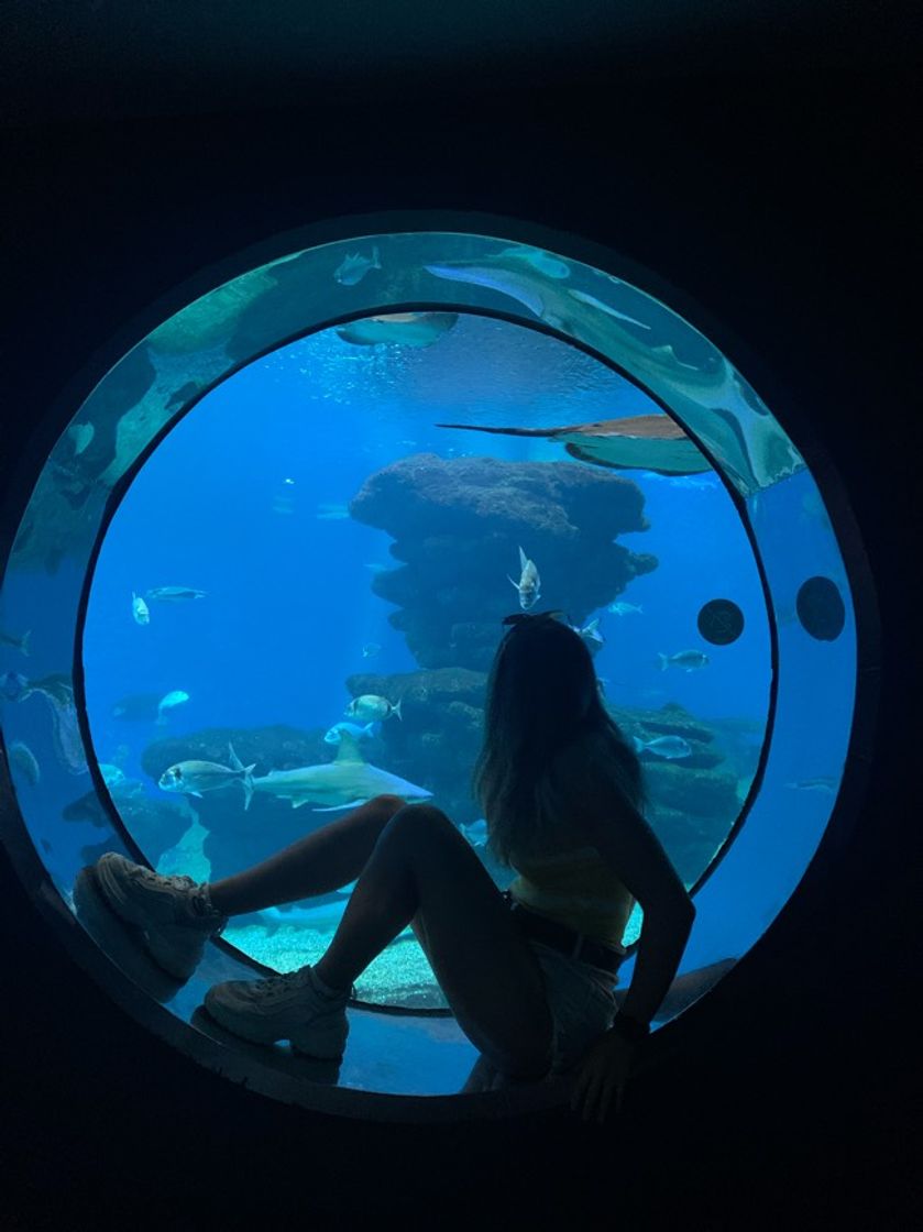 Place Palma Aquarium