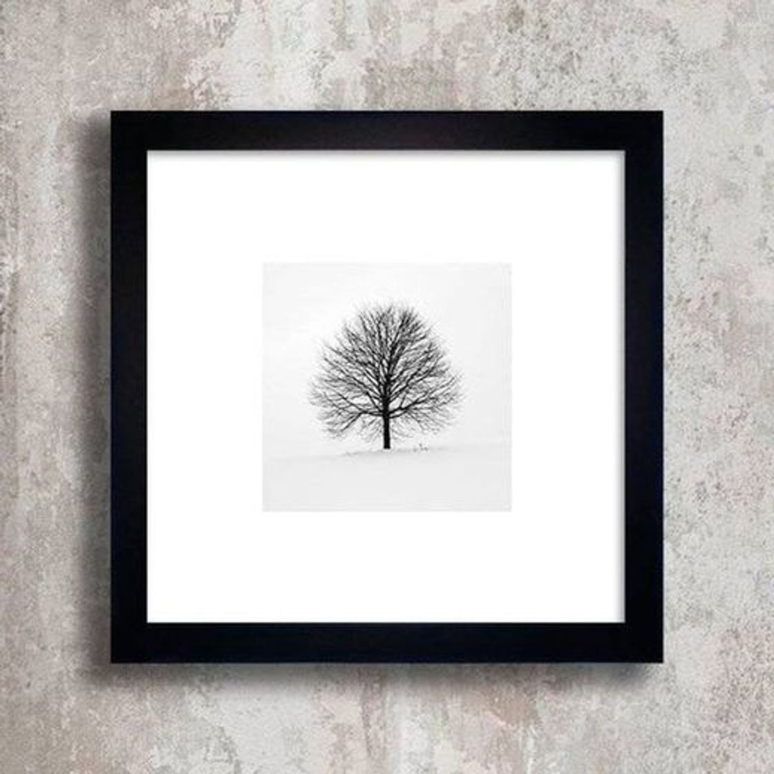 Productos Quadro Solitary Tree