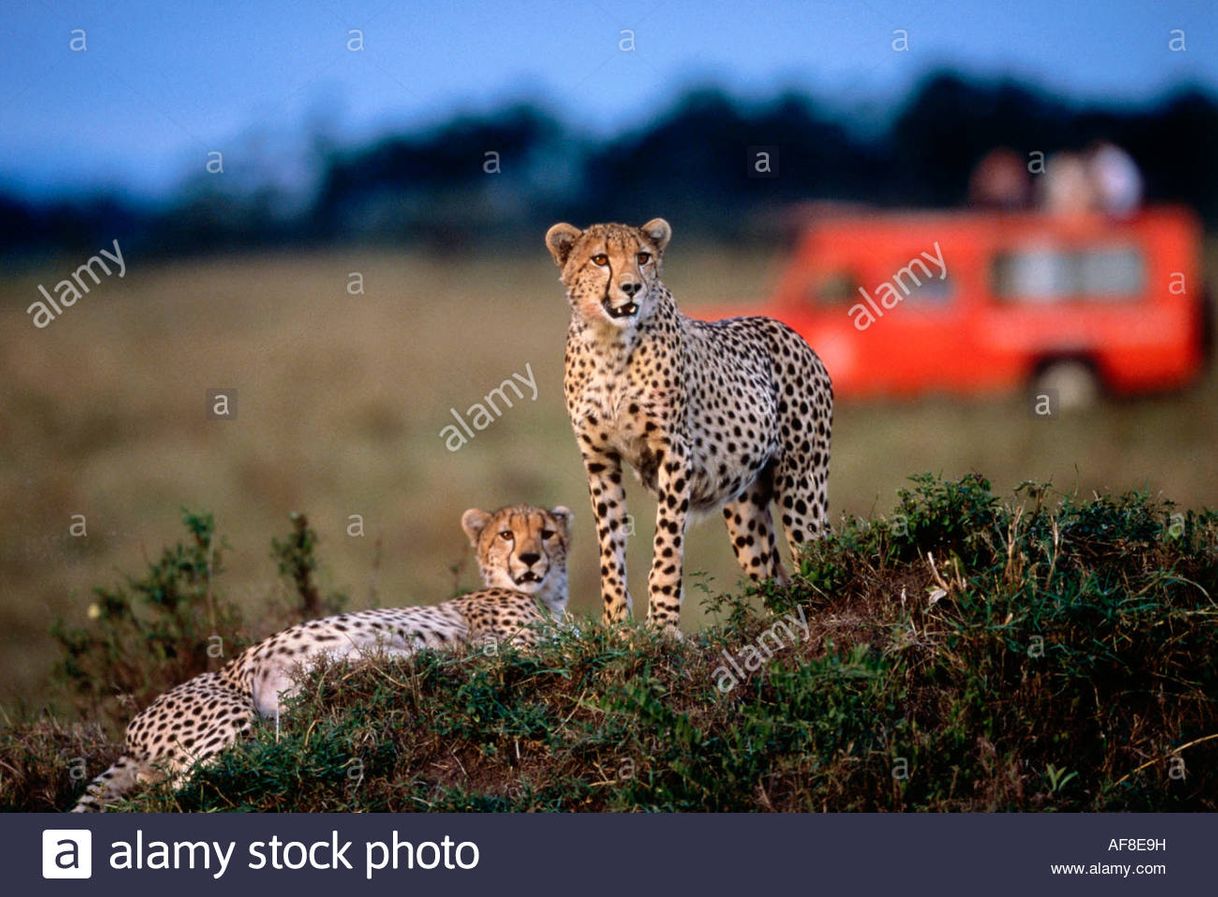 Lugar Masai Mara National Reserve