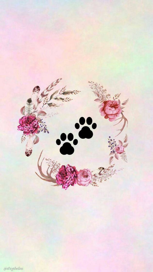 Social Ícone para  pet 🐶🐱