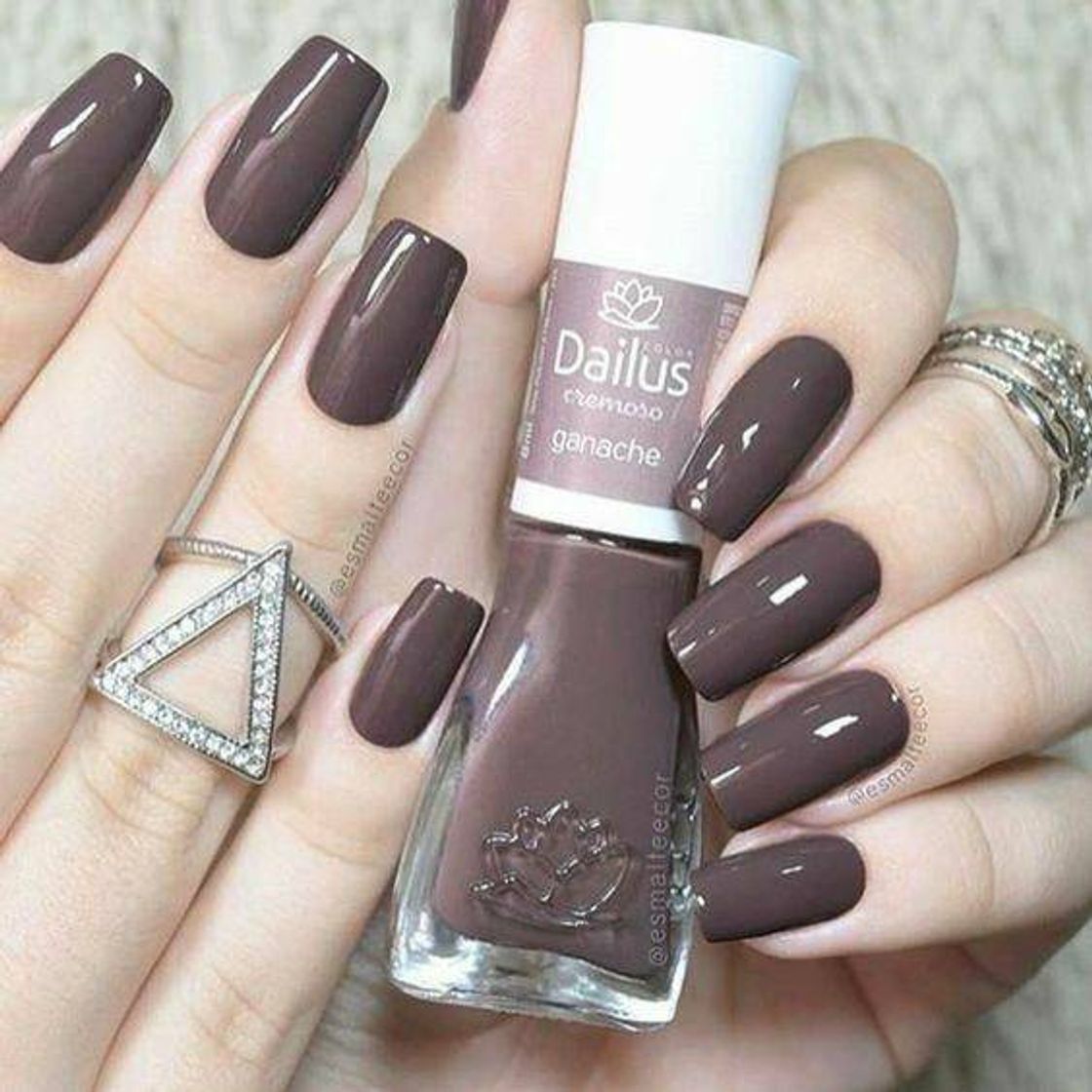 Social Ganache - Dailus 