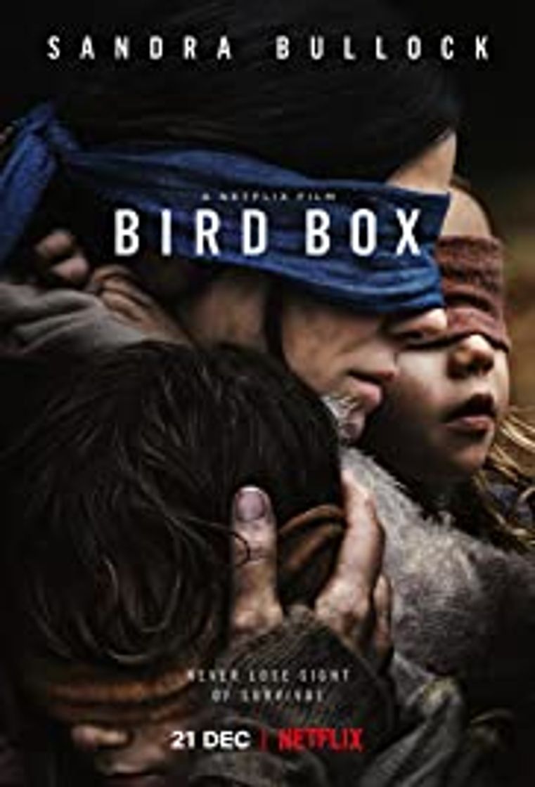 Moda Bird Box | Netflix Official Site