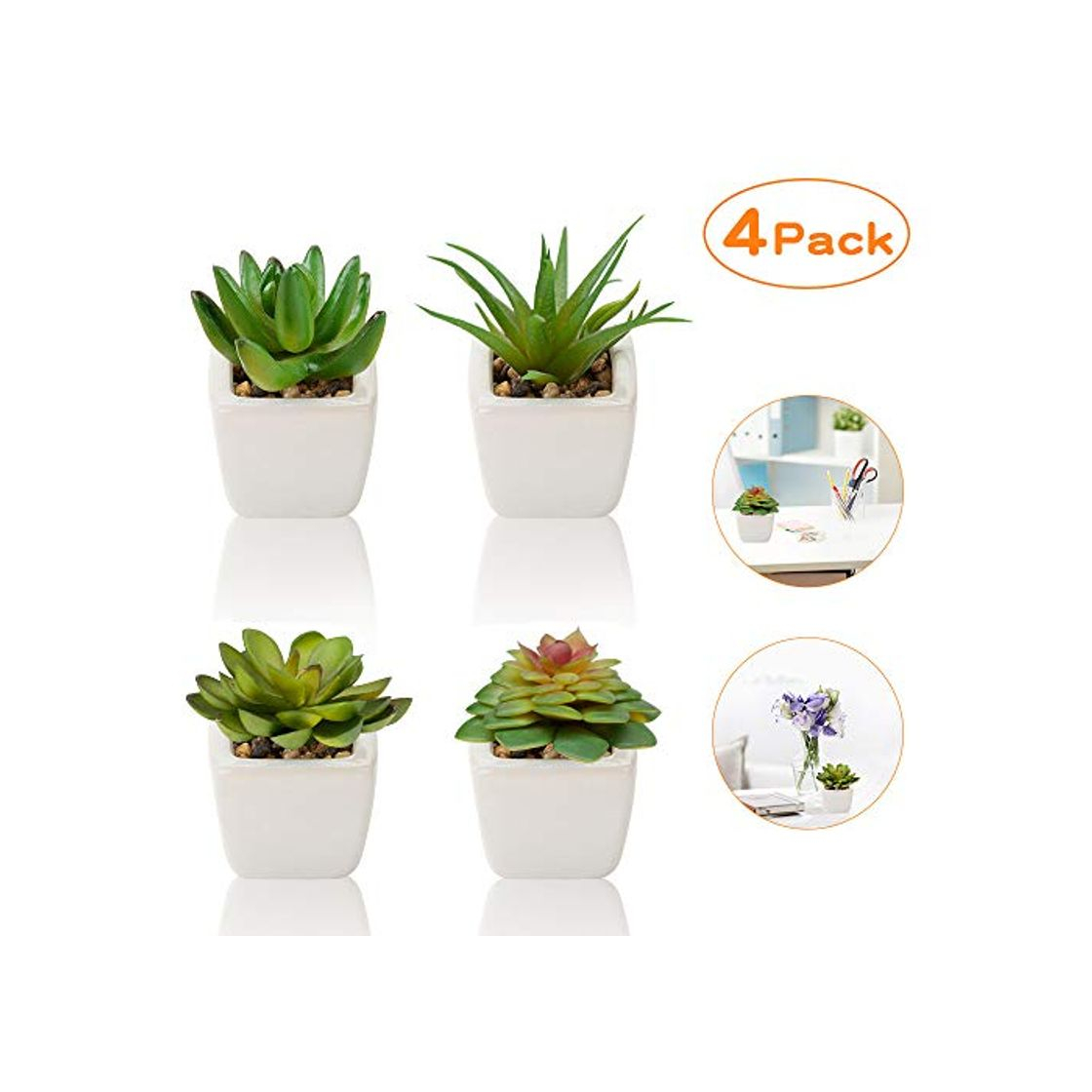 Social Plantas Suculentas Artificiales 4 Piezas