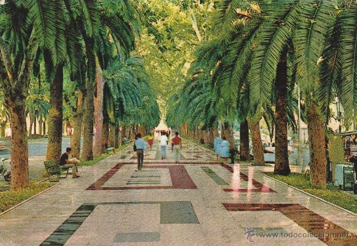 Lugar Paseo del Parque