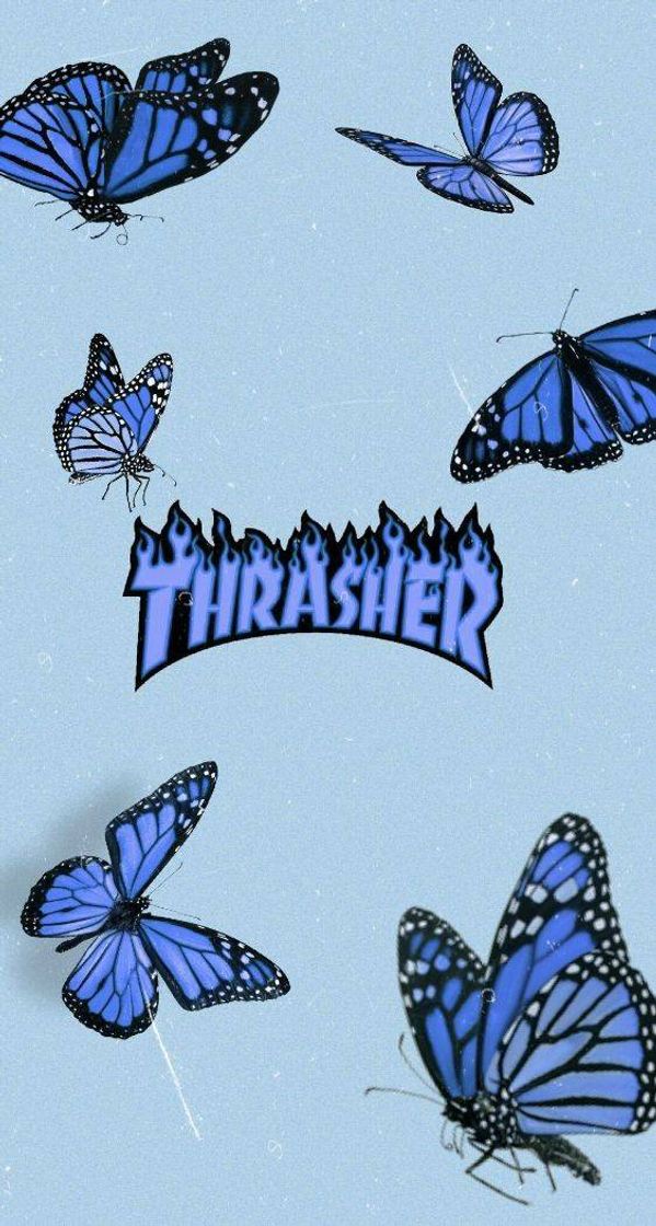 Moda Thrasher 