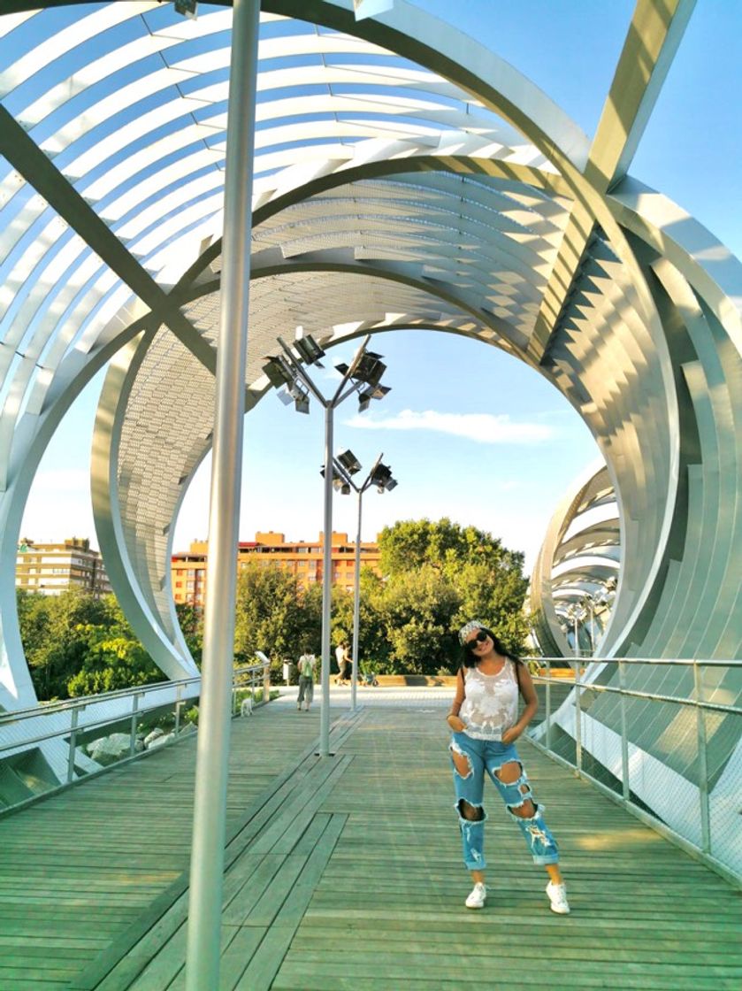 Place Puente Monumental de Arganzuela