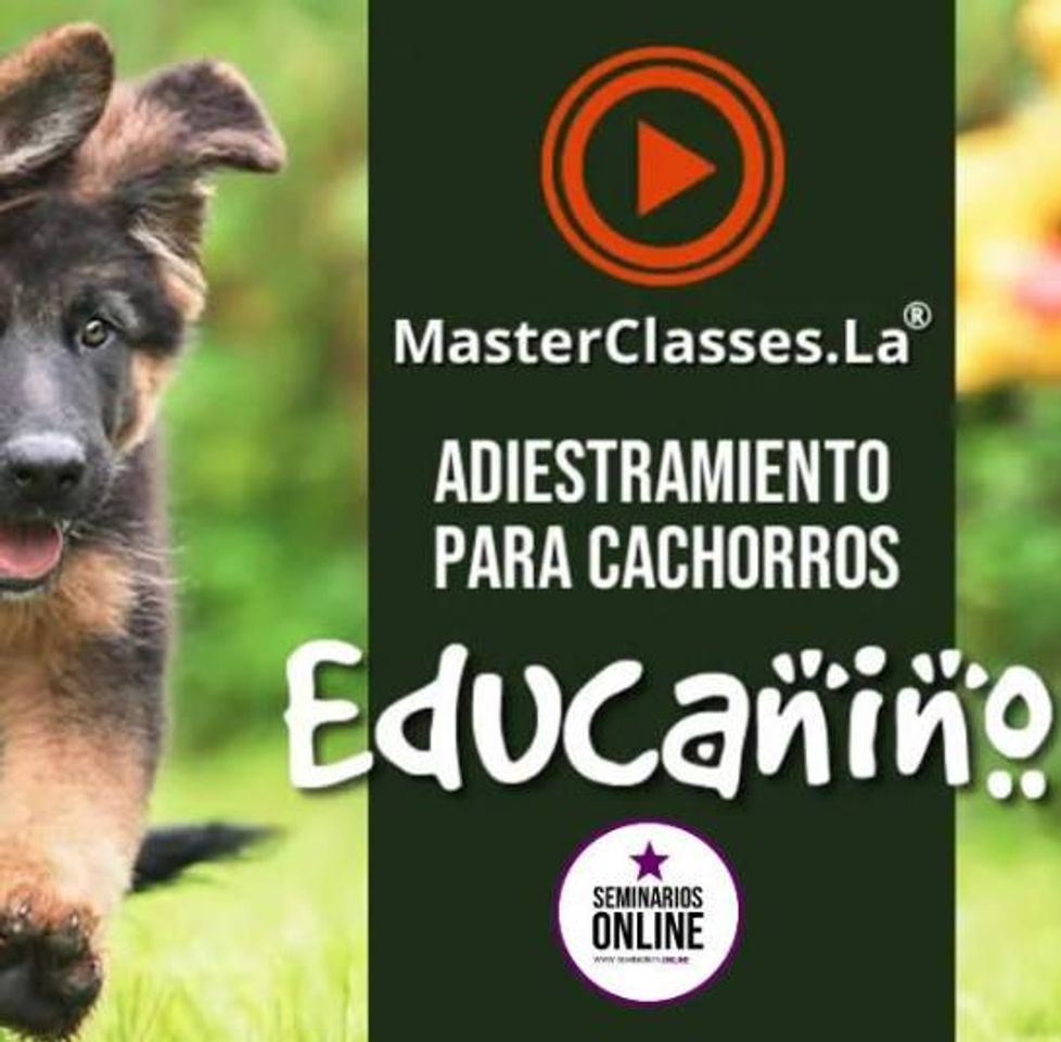 Social Educanino