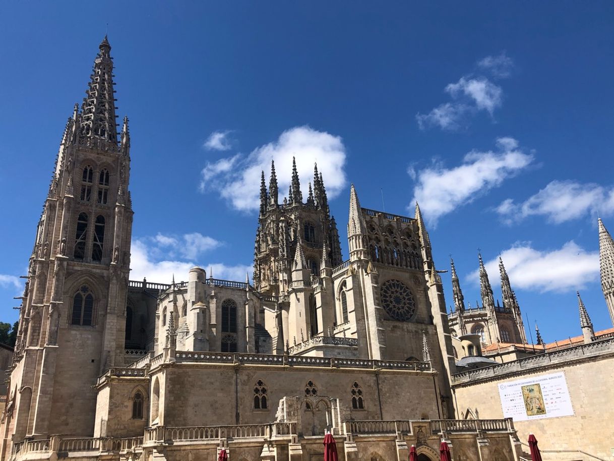 Place Catedral de Burgos