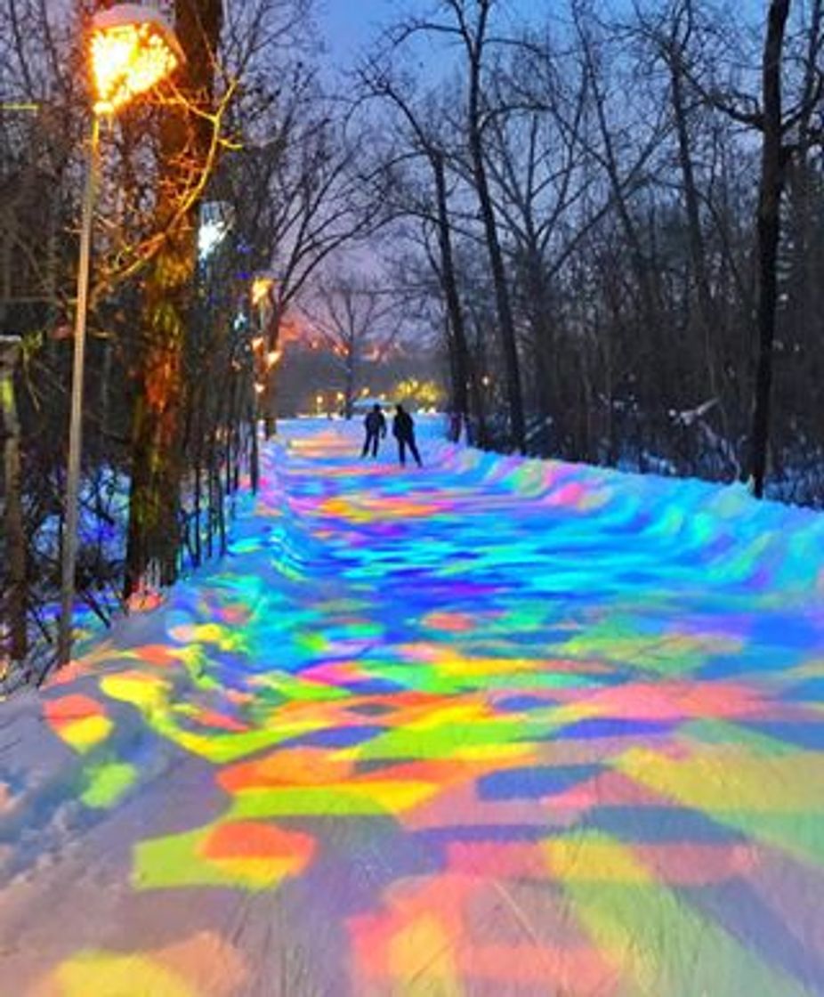Edmonton Freezeway