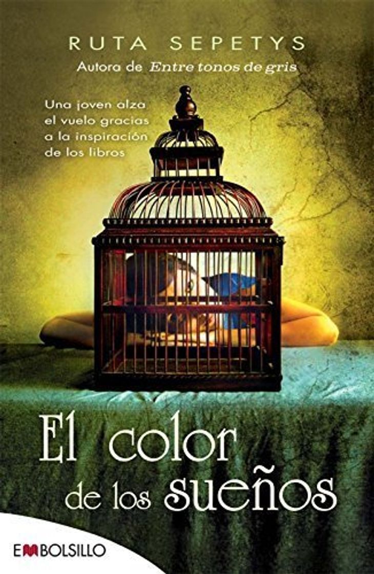 Book El color de los sueos