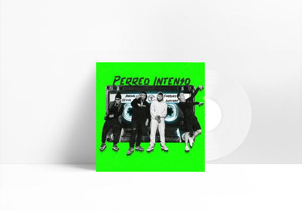 Canción Perreo Intenso