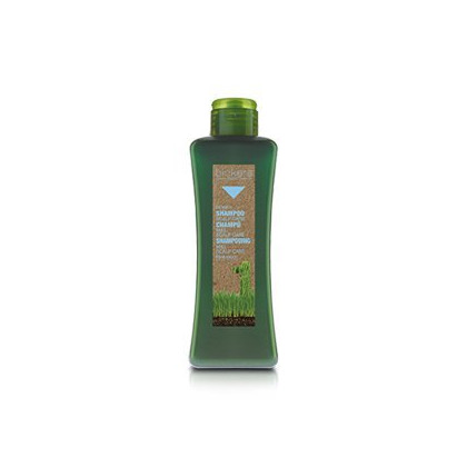 Belleza Champú Biokera Natura Scalp Care 300 ml alerm Cosmetics