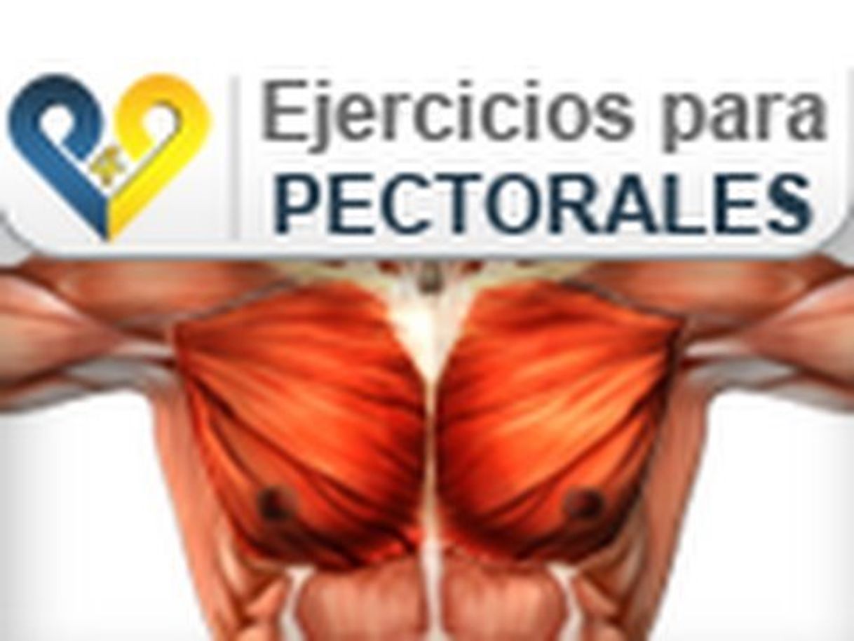 Moda Entrenamiento para pectorales - YouTube