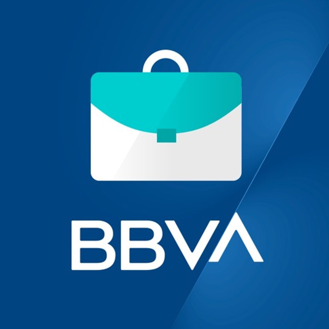 App BBVA Net Cash | ES & PT