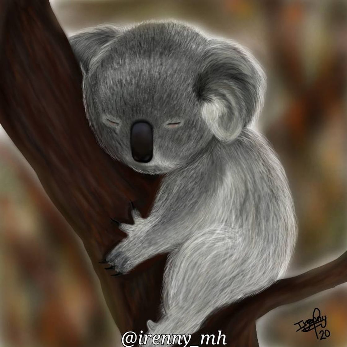 Moda Dibujo de Koala, durante los incendios de Australia 