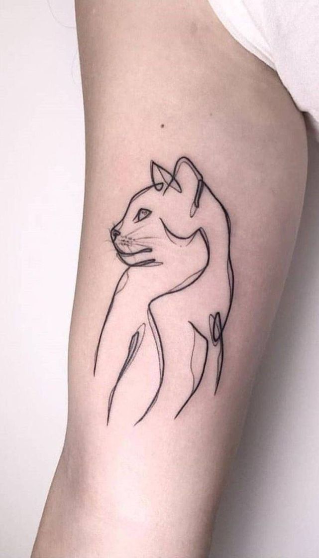 Fashion Tattoo gatinho.