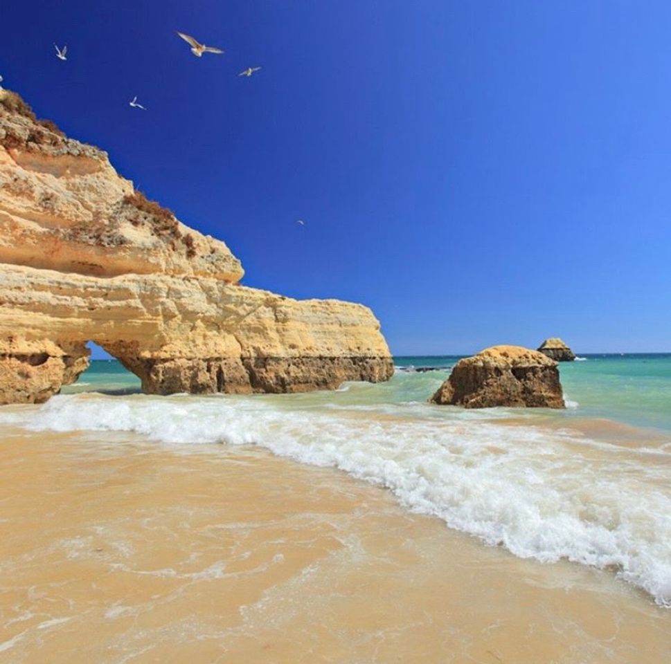 Lugar Praia da Rocha