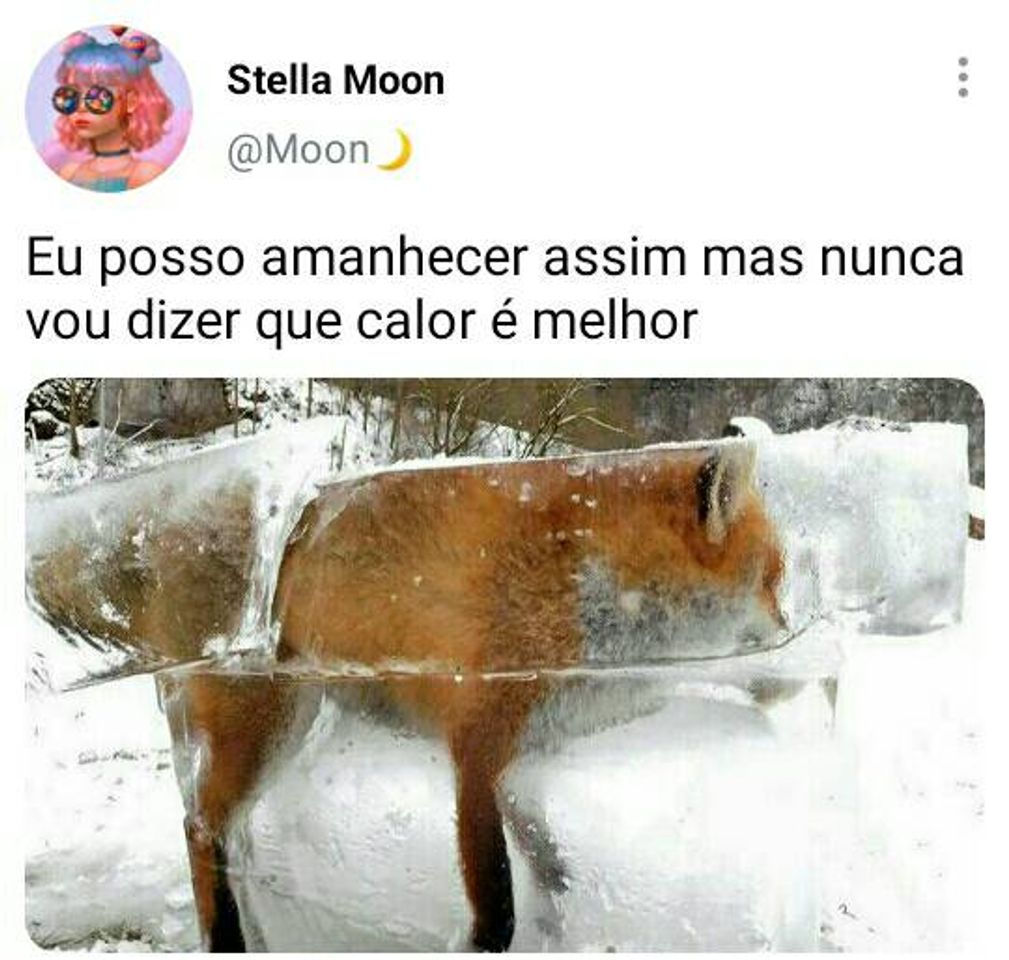 Moda Stella Moon 