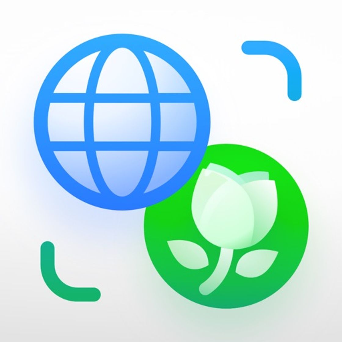 Aplicaciones AI Translator&Plant Identifier