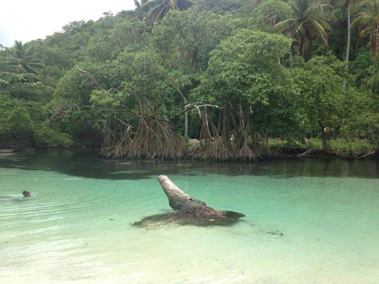 Lugar Caño Frío