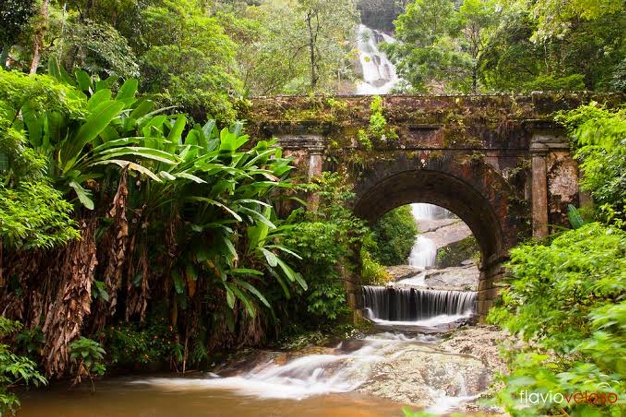 Lugar Floresta da Tijuca