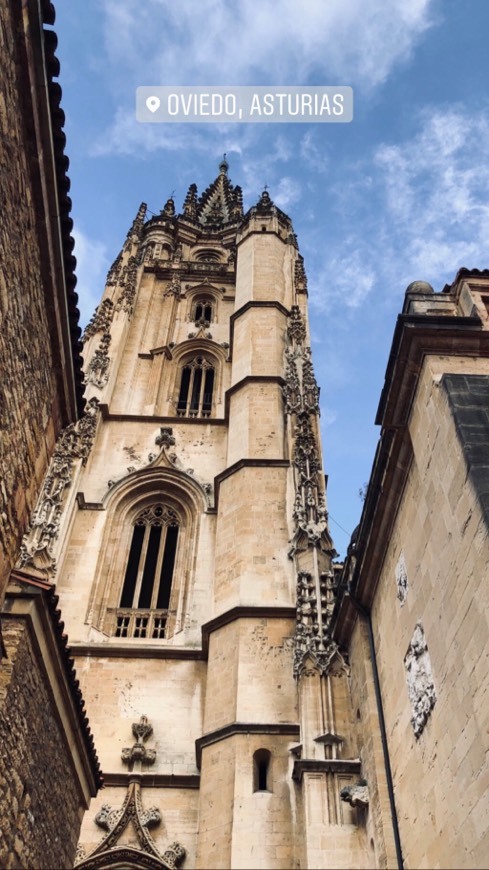 Place Catedral de Oviedo