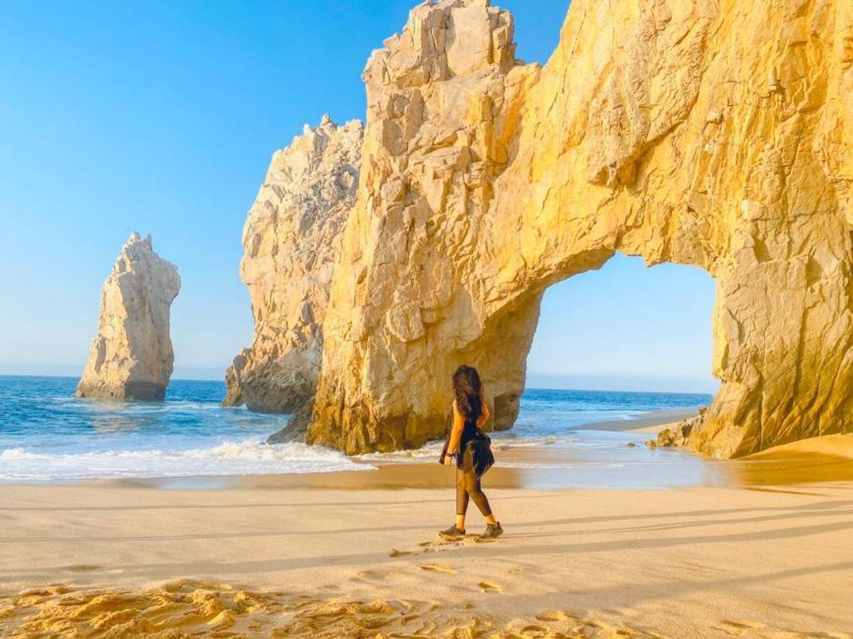 Place El Arco de Cabo San Lucas