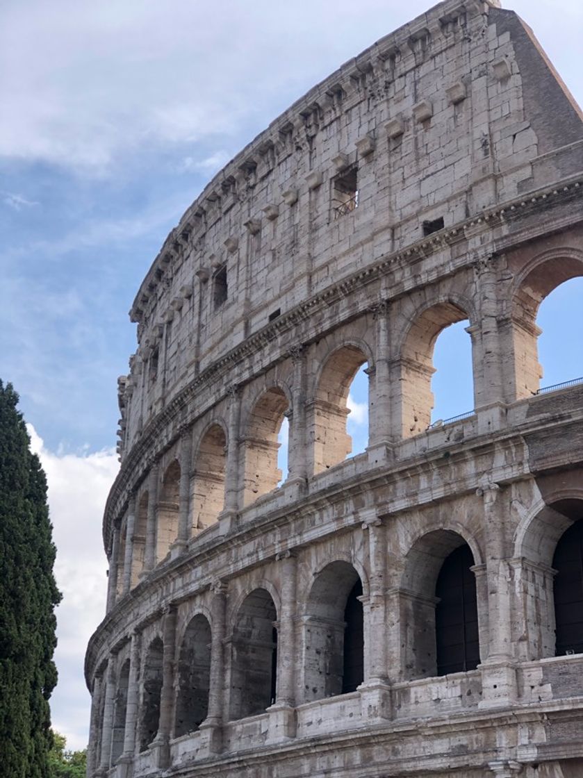 Lugar Coliseo de Roma